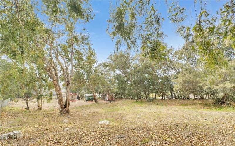 TOP OF PROPERTY LOOKING SOUTH