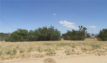 8821 Oakwood Avenue, Hesperia, California 92345, ,Land,Buy,8821 Oakwood Avenue,IV24115162