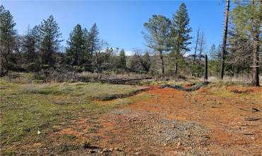 6 lot 006 Feather Ridge Way, Berry Creek, California 95916, ,Land,Buy,6 lot 006 Feather Ridge Way,OR24151396