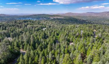 29207 Pigeon Hawk Lane, Lake Arrowhead, California 92352, ,Land,Buy,29207 Pigeon Hawk Lane,CV24147206