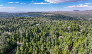 29183 Pigeon Hawk Lane, Lake Arrowhead, California 92352, ,Land,Buy,29183 Pigeon Hawk Lane,CV24147172