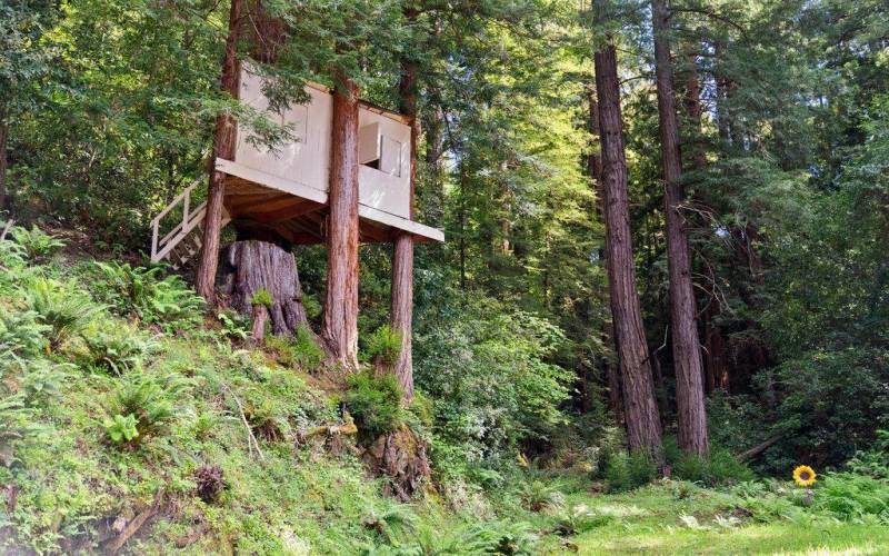 kids tree fort