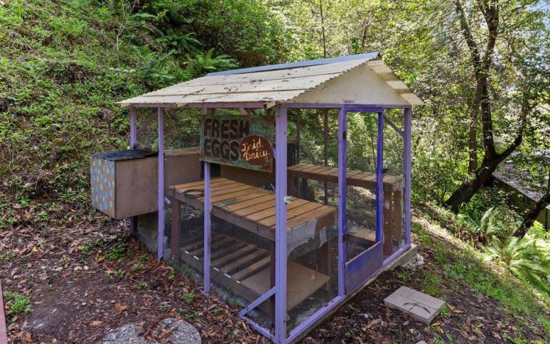 chicken coop or potting shed