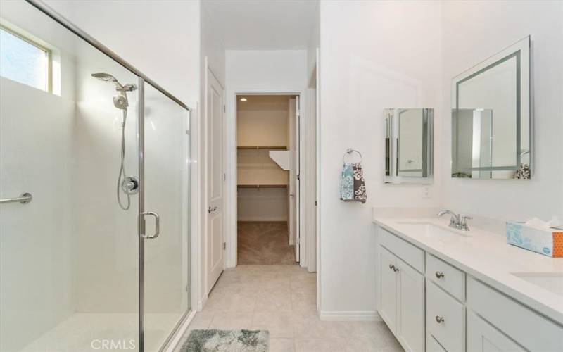 Walk-in shower and vanity area