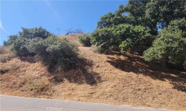 0 Hunstock Street, Castaic, California 91384, ,Land,Buy,0 Hunstock Street,SR24149583