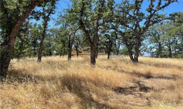 6915 Remunda Rd, Corning, California 96021, ,Land,Buy,6915 Remunda Rd,SN24144748