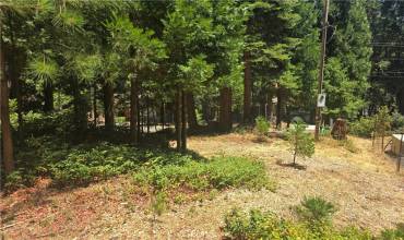 14871 Hickok Court, Magalia, California 95954, ,Land,Buy,14871 Hickok Court,SN24151633