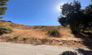 32700050 Kenwood Avenue, Castaic, California 91384, ,Land,Buy,32700050 Kenwood Avenue,SR24149782