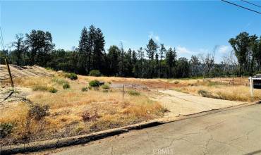 13532 Adrian Drive, Magalia, California 95954, ,Land,Buy,13532 Adrian Drive,SN24151843