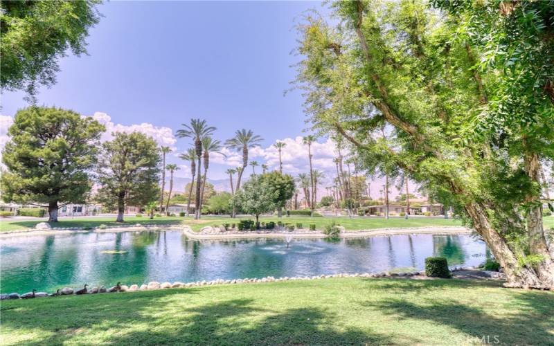 The Canyon has lovely water features and grounds