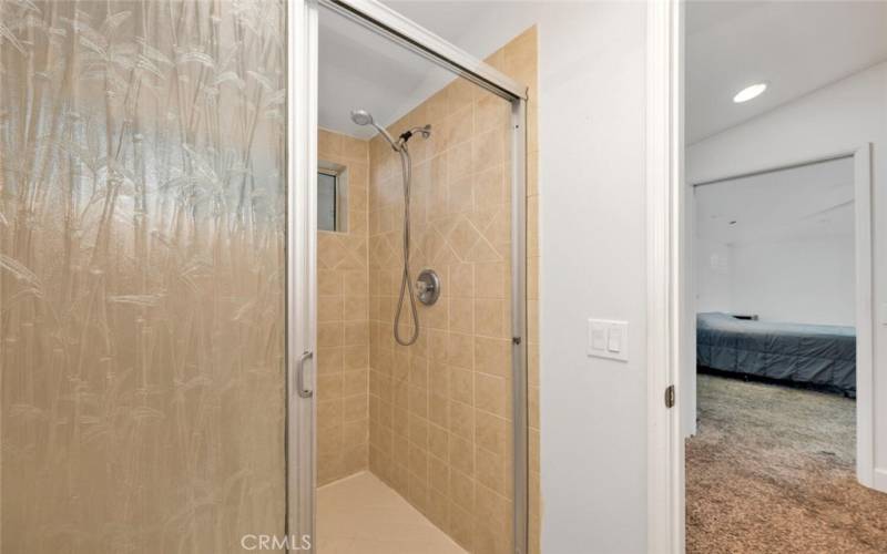 Downstairs Master Bathroom