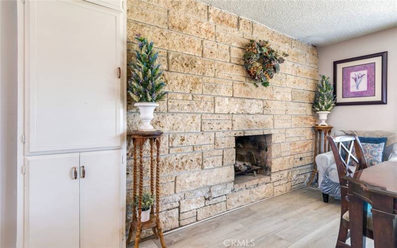 Statement Wall Deep Ocean Rock with Fireplace