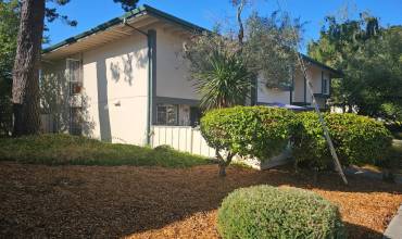 1201 Terra Nova Boulevard, Pacifica, California 94044, 1 Bedroom Bedrooms, ,1 BathroomBathrooms,Residential,Buy,1201 Terra Nova Boulevard,ML81974392