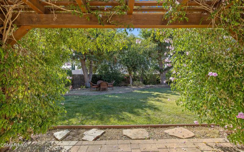 Backyard Patio