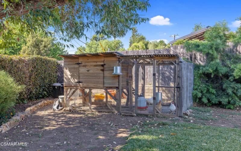 Backyard Chicken Coop