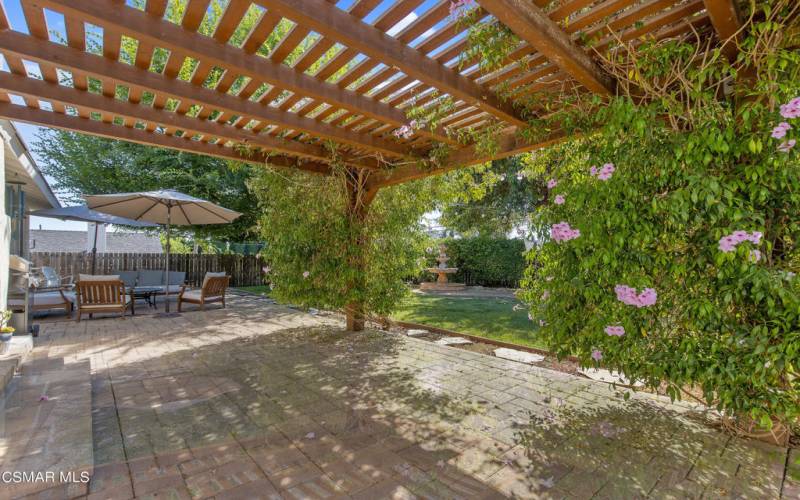 Backyard Patio