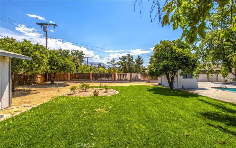 Backyard also offers a large grassy area with new sod just recently installed.