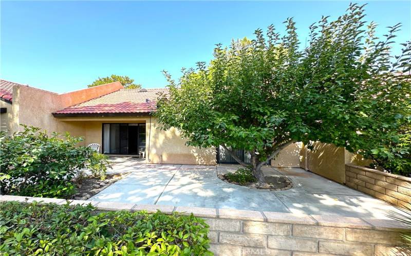 Covered patio with your own Apple Tree