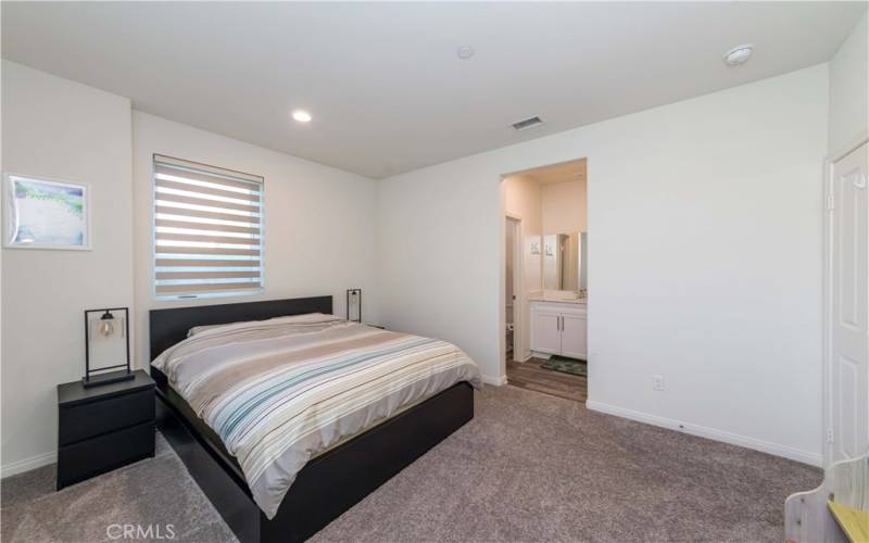 Down stair master suite with walk-in closet