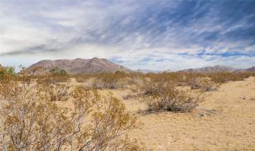 51 Scotch Lane, Landers, California 92285, ,Land,Buy,51 Scotch Lane,FR24151982