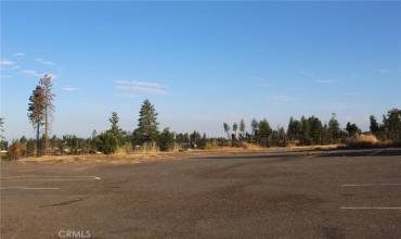 7039 Skyway, Paradise, California 95969, ,Land,Buy,7039 Skyway,PA24152314