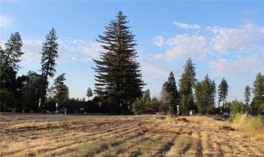 7039 Skyway, Paradise, California 95969, ,Land,Buy,7039 Skyway,PA24152314