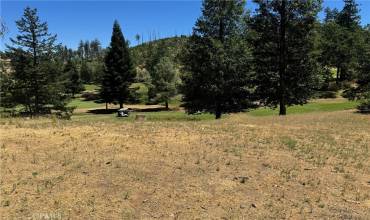 14688 Lema Lane, Cobb, California 95426, ,Land,Buy,14688 Lema Lane,LC24151076