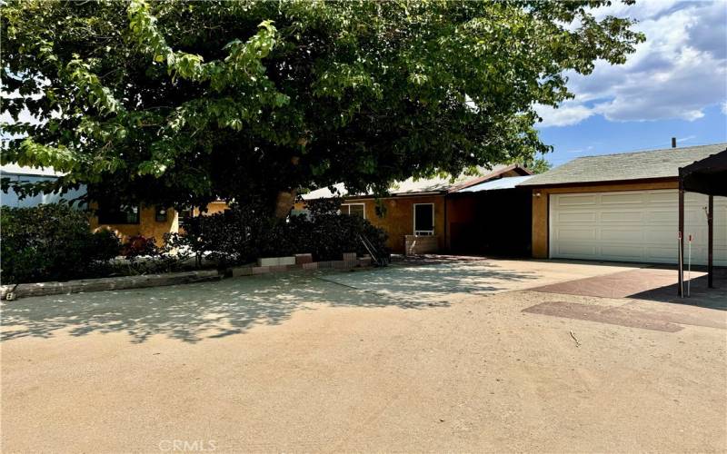 garage and large tree