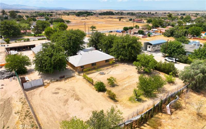 overview of orchard and back of house