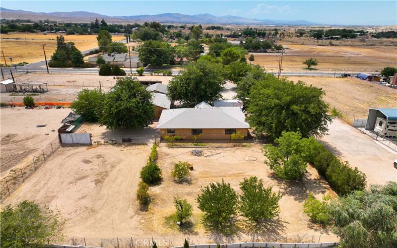 overview of orchard and back of house