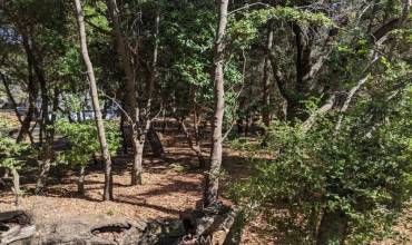 7910 Soda Bay Road, Kelseyville, California 95451, ,Land,Buy,7910 Soda Bay Road,LC24153343