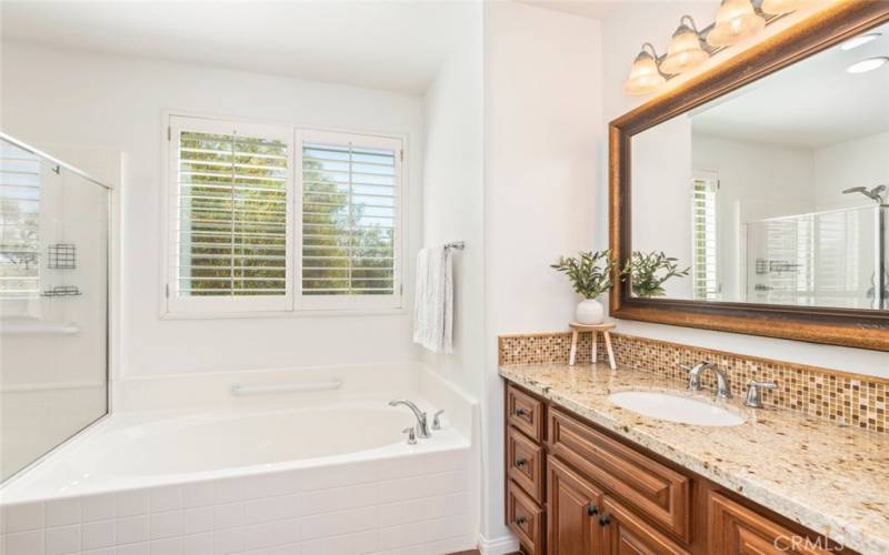 Primary Bathroom With Tub