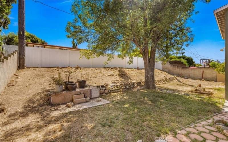 Looking at yard from covered patio.