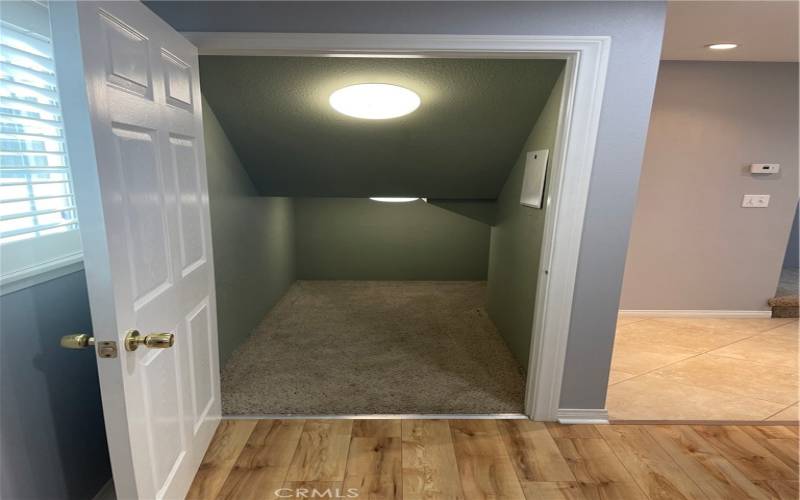 Big closet underneath stairs.