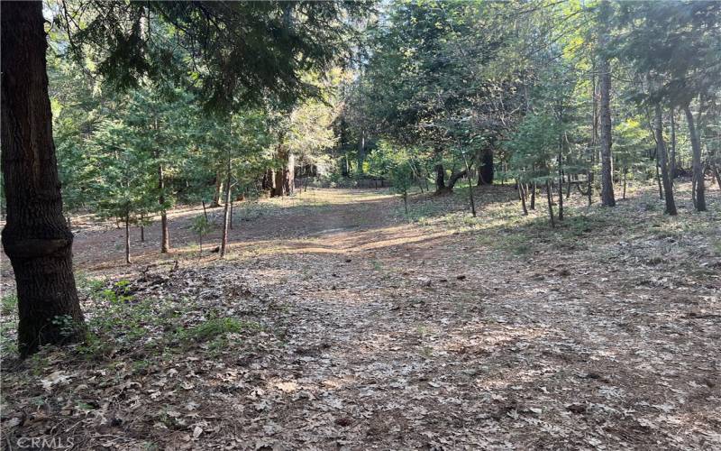 Driveway into the property.