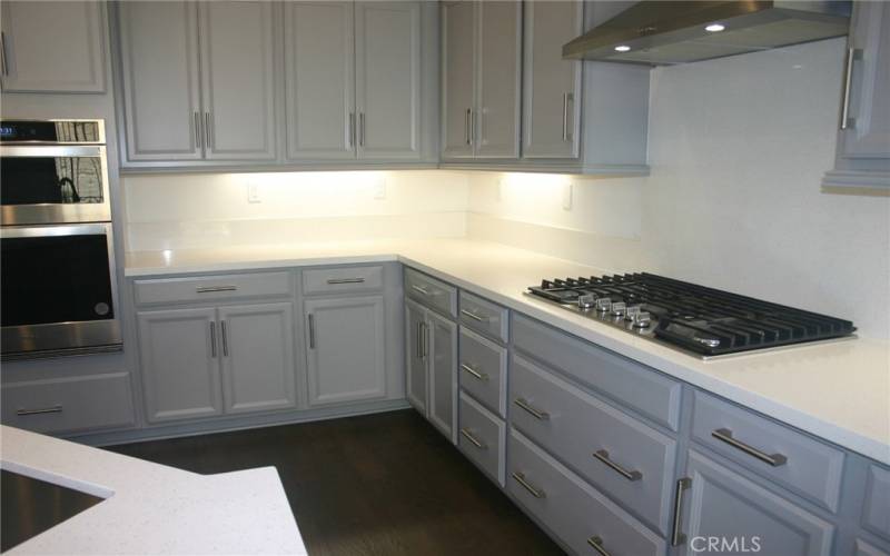 Closer look at the cook top, oven,  and vent hood, all Stainless Steel