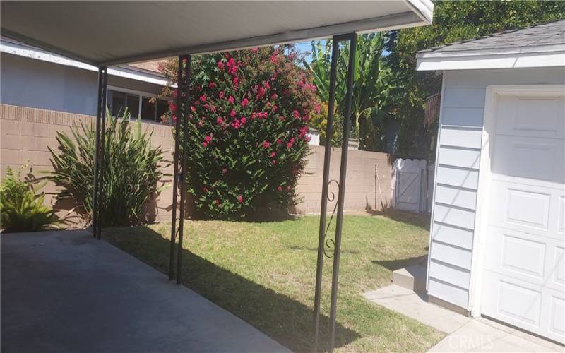 Covered Patio and Back Lawn