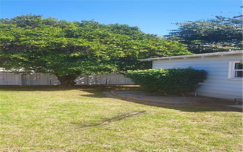 Lawn, Orange Tree, Garage has window by Laundry Area