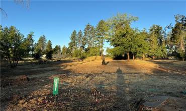 6361 Tabernacle Lane, Paradise, California 95969, ,Land,Buy,6361 Tabernacle Lane,SN24151766