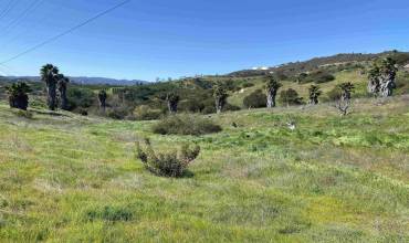 21722 Carancho Road, Temecula, California 92590, ,Land,Buy,21722 Carancho Road,PTP2400159