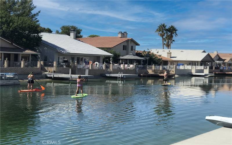 Paddle Boarders