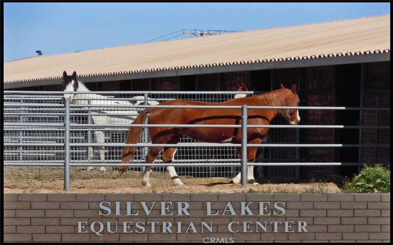 Equestrian Stalls also has arenas