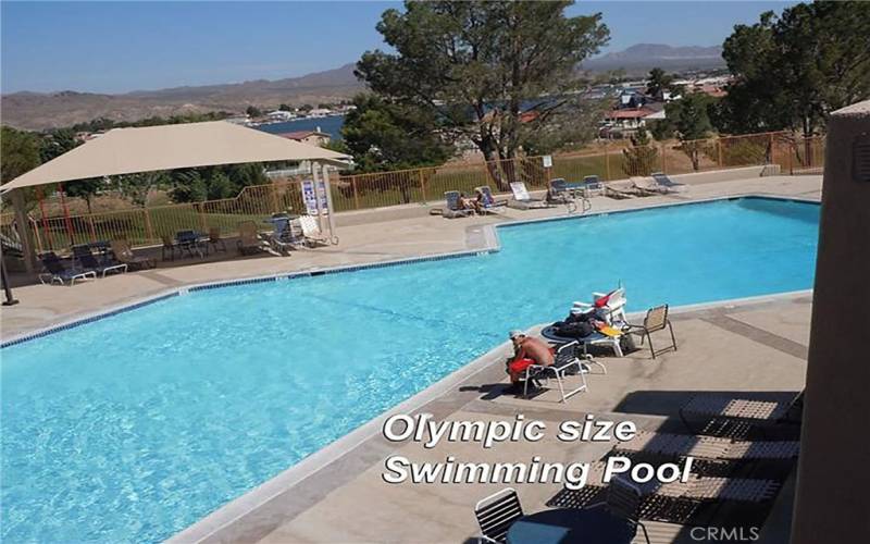 olympic size swimming pool