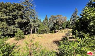 284 Hidden Forest Road, Lake Arrowhead, California 92352, ,Land,Buy,284 Hidden Forest Road,24420279