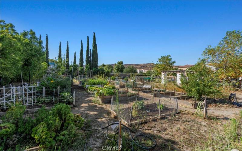 community garden