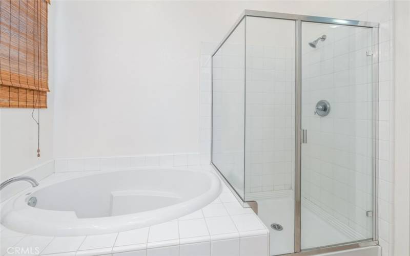 The primary bathroom features a large shower with a glass door and a deep bathtub.