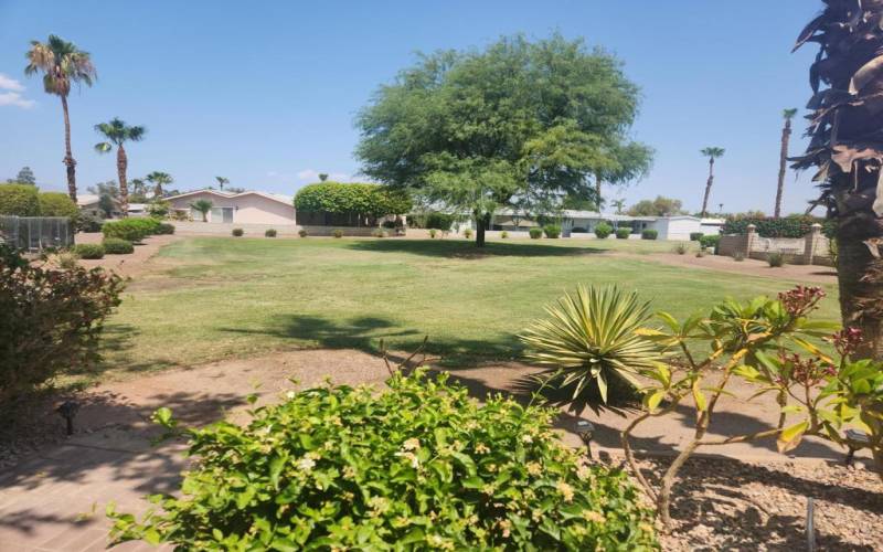 View from Front Patio