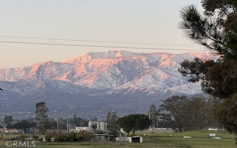 Backyard View