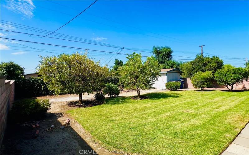 Backyard with Work Shed