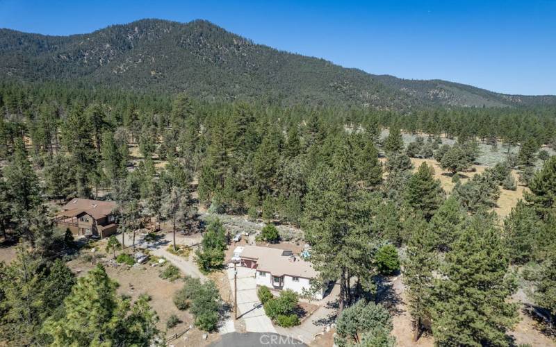 House in lower center with forest behind it.